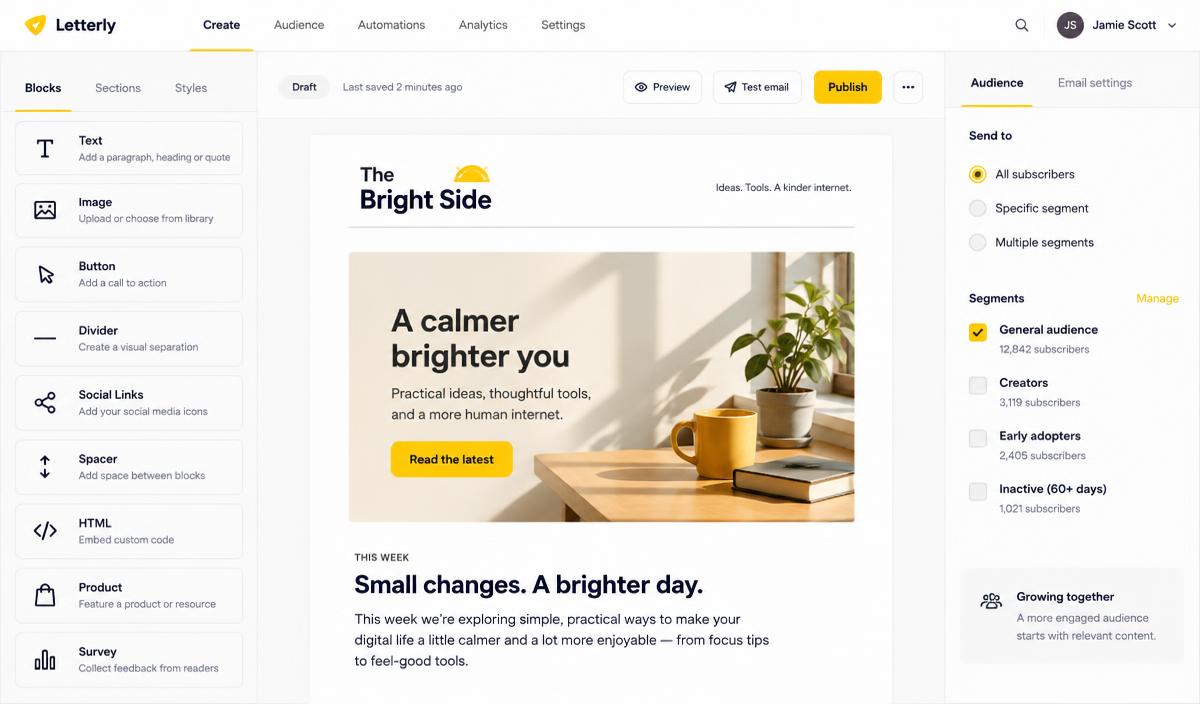 Micro-SaaS Newsletter Platform — illustrative product interface concept, not a live screenshot